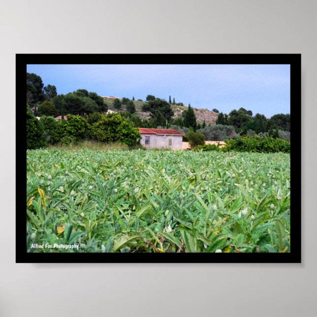 Póster El Campo de Alcachofas (Frente)