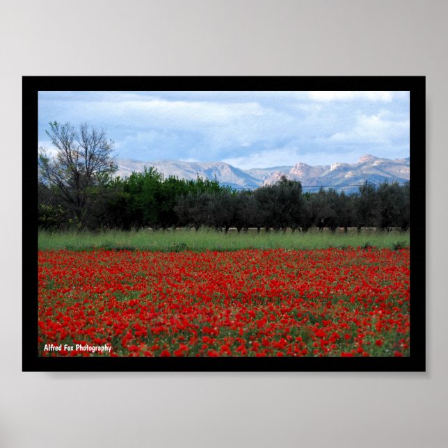 Póster El Campo de Amapolas (Frente)