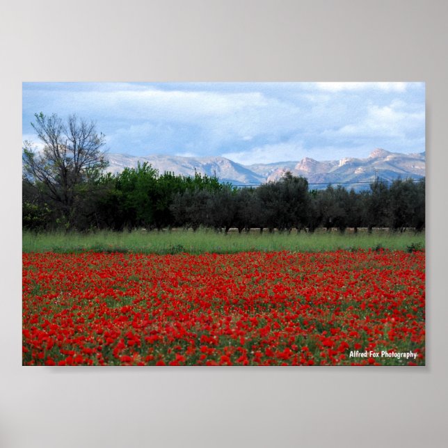Póster El Campo de Amapolas (Frente)