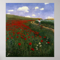 El campo de la amapola