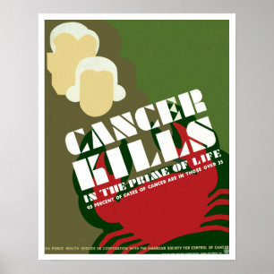 Póster El Cáncer Mata ~ En La Primavera De La Vida