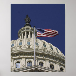 Póster El Capitolio de los Estados Unidos, Washington, DC