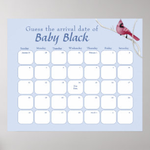 Póster El Cardenal Azul Ave Baby Shower Adivina La Fecha 
