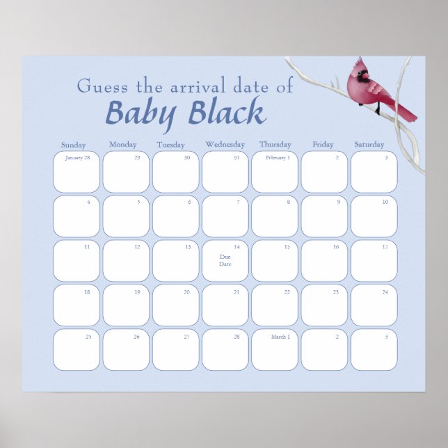 Póster El Cardenal Azul Ave Baby Shower Adivina La Fecha  (Frente)