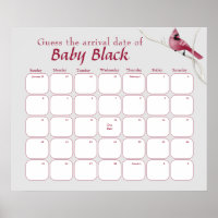 El Cardenal Gris Bird Baby Shower Asume La Fecha D