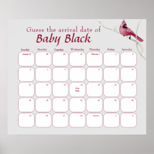 Póster El Cardenal Gris Bird Baby Shower Asume La Fecha D