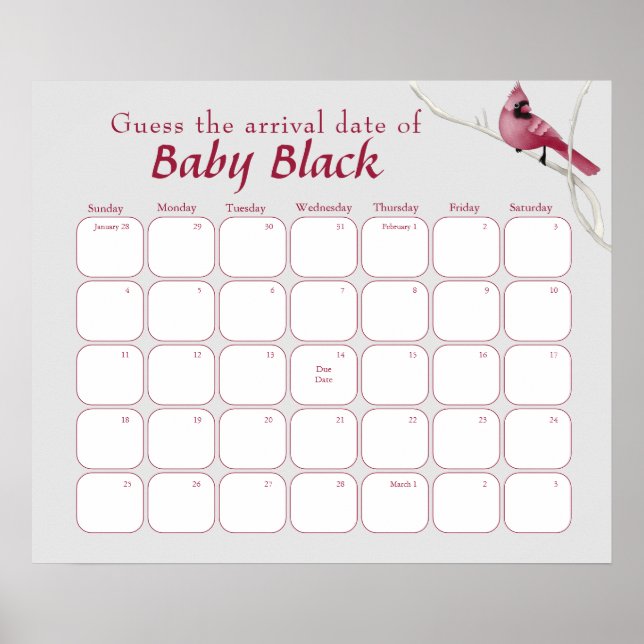 Póster El Cardenal Gris Bird Baby Shower Asume La Fecha D (Frente)