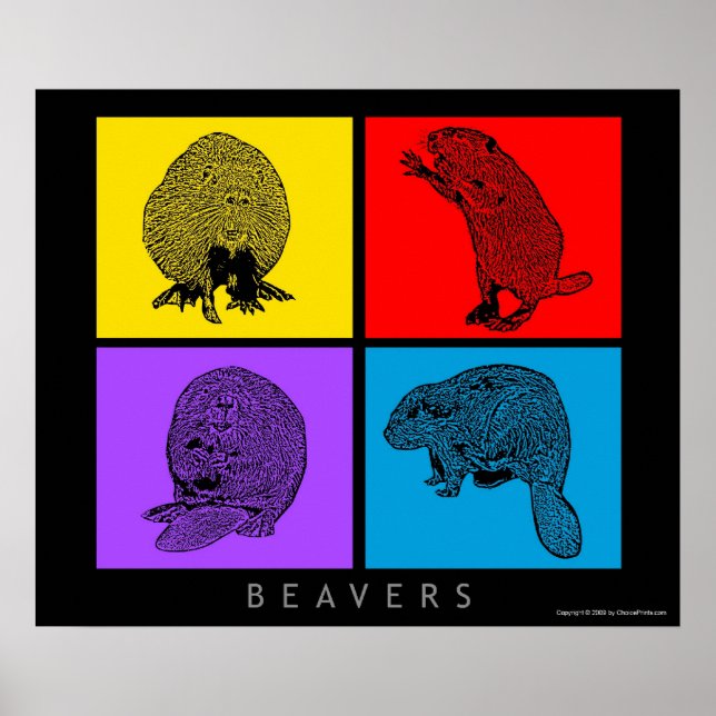 Póster El castor colorido (Frente)