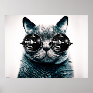 PÓSTER EL CAT
