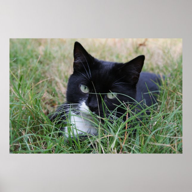 Póster El cazador en reposo (Frente)