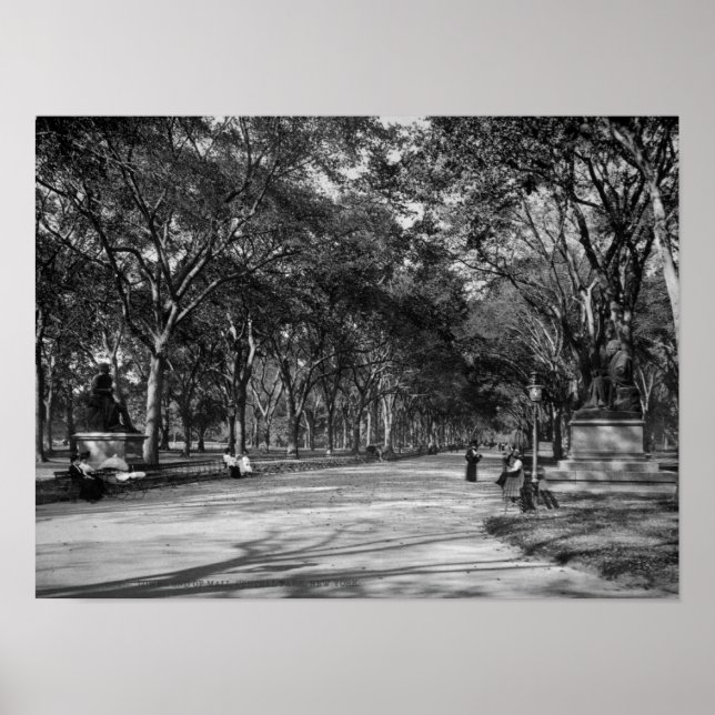 Póster El centro comercial Central Park en la ciudad de N (Frente)