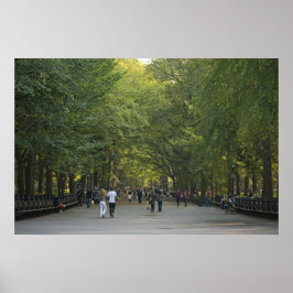 Póster El centro comercial de verano tardío