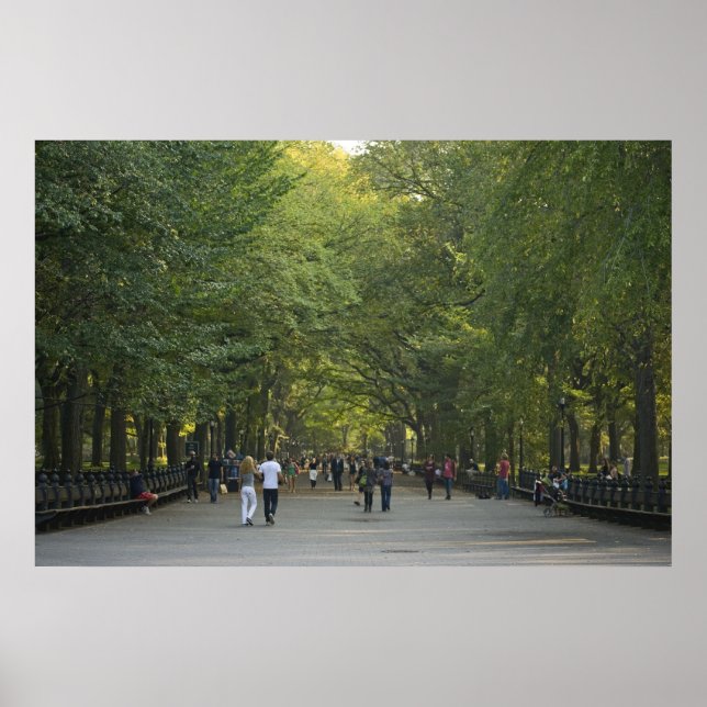 Póster El centro comercial de verano tardío (Frente)