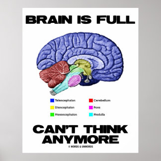 Póster El cerebro está lleno y ya no se puede pensar (ana
