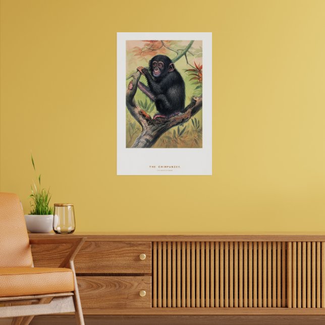 Póster El chimpancé, Bocetos Zoológicos, (Salón 2)