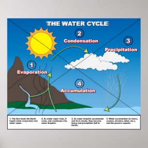 Póster El ciclo del agua