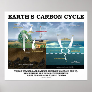 Póster El ciclo del carbono de la Tierra (ciencia de la T