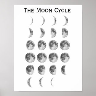 Póster El ciclo lunar