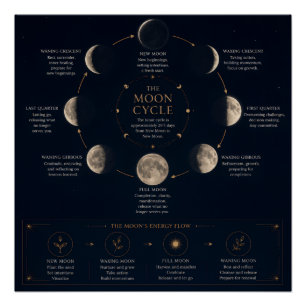 Póster El ciclo lunar y el significado de las fases
