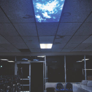 Póster el cielo se está cayendo