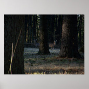 Póster El ciervo oculto