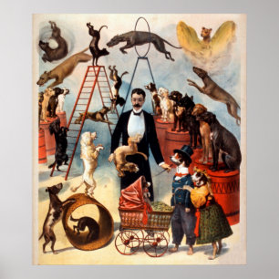 Póster El circo entrenado 1899 del acto del perro