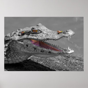 Póster El cocodrilo sonriente y las moscas