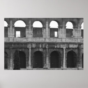 Póster El Coliseo