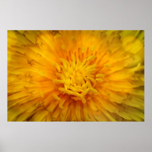 Póster El color amarillo