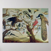 El concierto de las aves