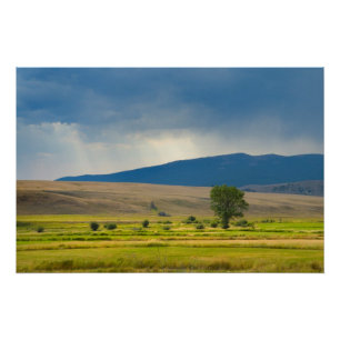 Póster El condado de Granite Montana
