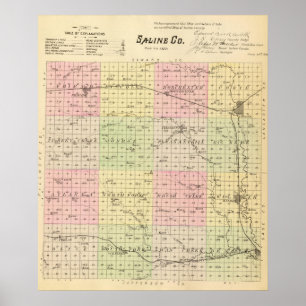Póster El condado de Saline, Nebraska