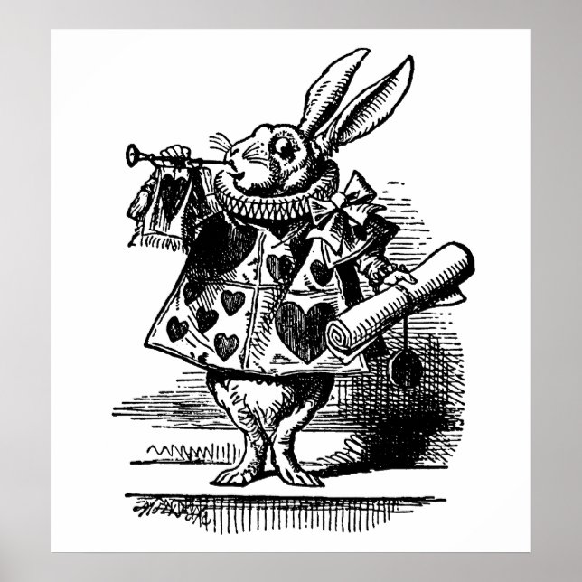 Póster El Conejo Blanco (Frente)