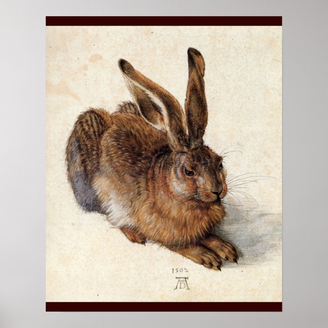 Póster EL CONEJO ( Liebre Joven ) (Frente)