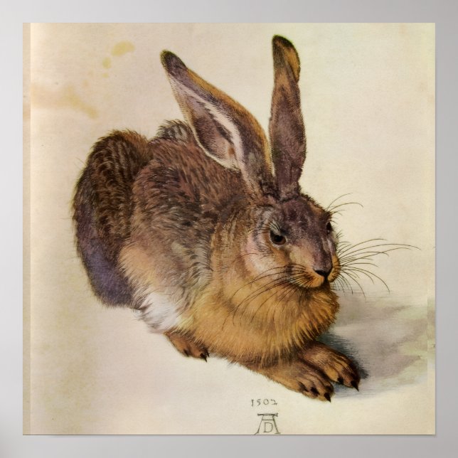Póster EL CONEJO ( Liebre Joven ) (Frente)