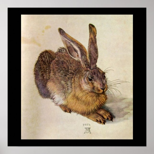 Póster EL CONEJO ( Liebre Joven ) (Frente)