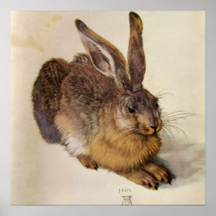 Póster EL CONEJO ( Liebre Joven )