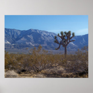 Póster El contraste