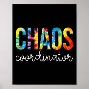 Póster El coordinador del caos, la apreciación del tinte,
