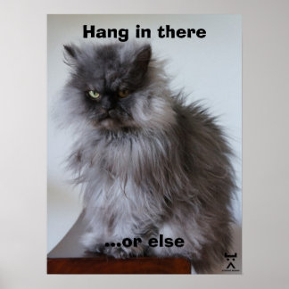 Póster El Coronel Meow Hang Ahí