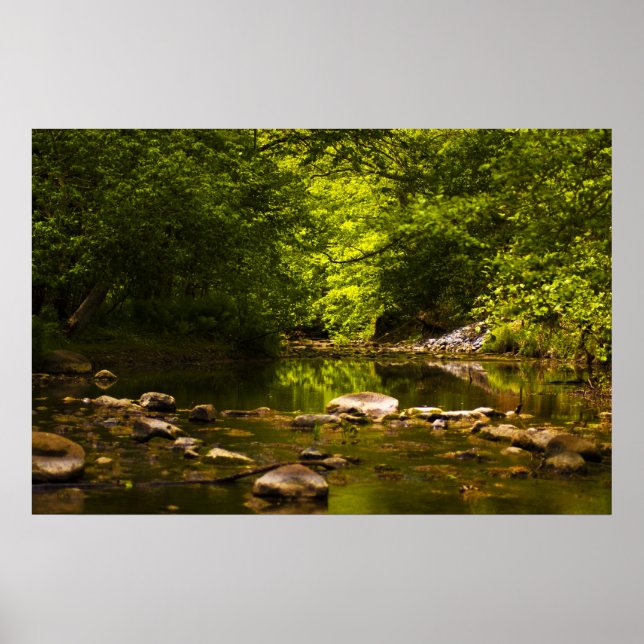 Póster El Creek (Frente)