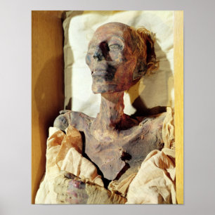Póster El cuerpo Mummified de Ramesses II encontró en una