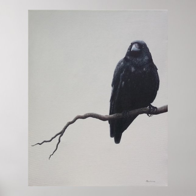 Póster El cuervo (Frente)