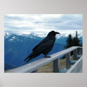 Póster El cuervo
