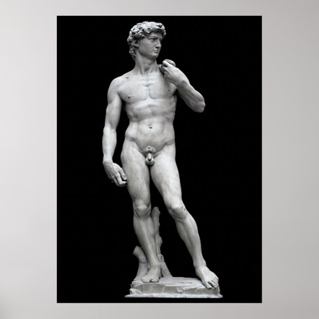 PÓSTER EL DAVID (Frente)