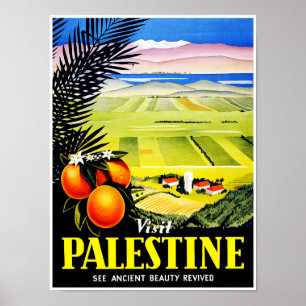 Póster El ~ de Palestina de la visita considera la