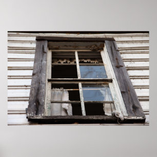 Póster El decaimiento de Rapunzel