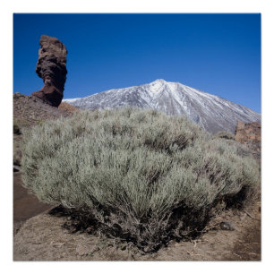 Póster El dedo de Dios