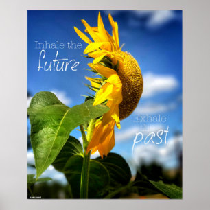 Póster El dejar va y poster que anticipa