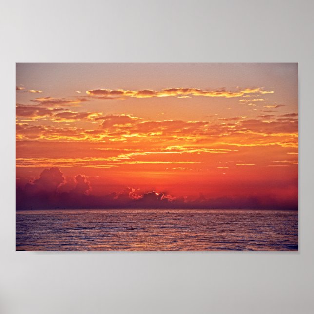 Póster El delfín salta al amanecer (Frente)